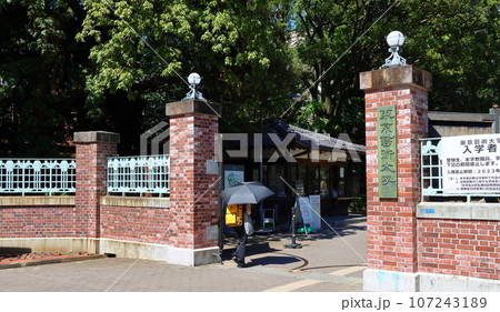 東京藝術大学音楽学部正門 上野キャンパス 東京都台東区上野公園 東京藝術大学音楽学部正門 上野キャンパス 東京都台東区上野公園 107243189