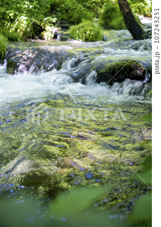 新緑の中を流れる清流 (木谷沢渓流) 新緑の中を流れる清流 (木谷沢渓流) 107243251