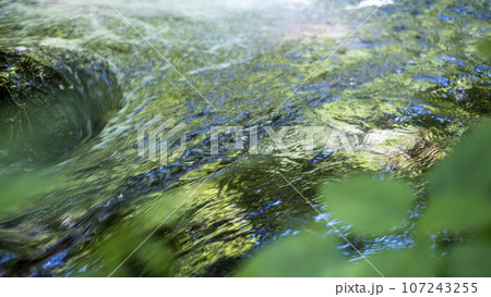 新緑の中を流れる清流 (木谷沢渓流) 新緑の中を流れる清流 (木谷沢渓流) 107243255