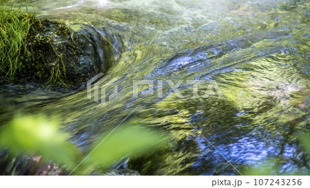 新緑の中を流れる清流 (木谷沢渓流) 新緑の中を流れる清流 (木谷沢渓流) 107243256