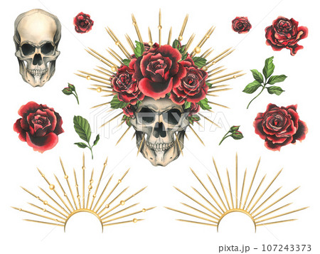 Human skull with red flowers rose in a golden crown with thorns, rays. Hand drawn watercolor illustration for day of the dead, halloween, Dia de los muertos. Set of elements on a white background 107243373