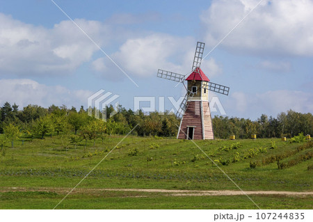 windmill on a mountain near an apiary with bees in Odykha Sula park 107244835