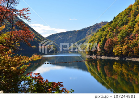 飛騨御岳しだれ桜街道の紅葉風景 飛騨御岳しだれ桜街道の紅葉風景 107244981