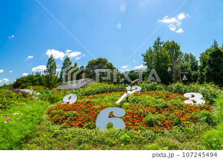 広島県世羅郡の香山ラベンダーの丘の花時計 広島県世羅郡の香山ラベンダーの丘の花時計 107245494