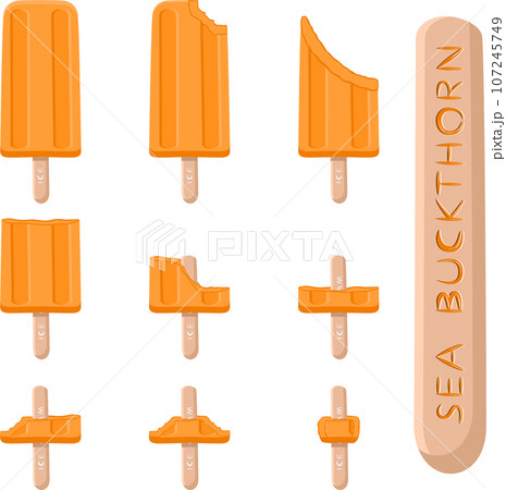 Big set various sweet tasty natural ice cream 107245749
