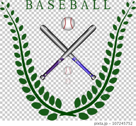 Collection accessory for sport game baseball 107245752