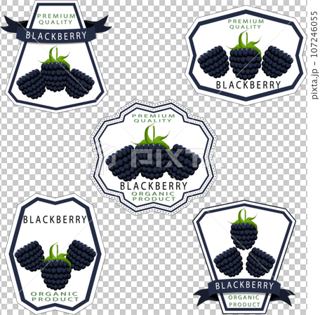 Sweet juicy tasty natural eco product blackberry Sweet juicy tasty natural eco product blackberry 107246055