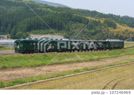久大本線を走る「TORO-Q(トロッコ列車)」(JR九州) 久大本線を走る「TORO-Q(トロッコ列車)」(JR九州) 107246969