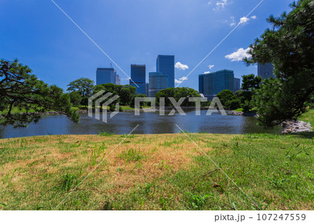 浜離宮恩賜庭園　2023年(夏) の風景 13 107247559