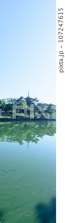 猿沢池と興福寺の五重塔(奈良) 猿沢池と興福寺の五重塔(奈良) 107247615