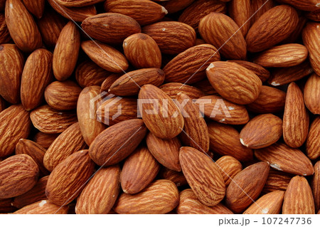 画面いっぱいのアーモンド 107247736