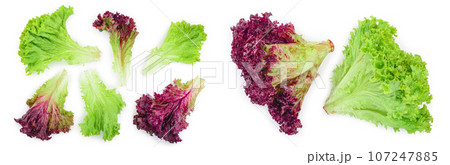 fresh red coral and green salad or lettuce isolated on the white background. Top view. Flat lay 107247885