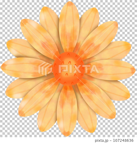 flower with sunflower 107248636