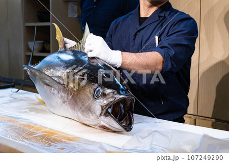 まぐろ解体ショー まぐろ解体ショー 107249290