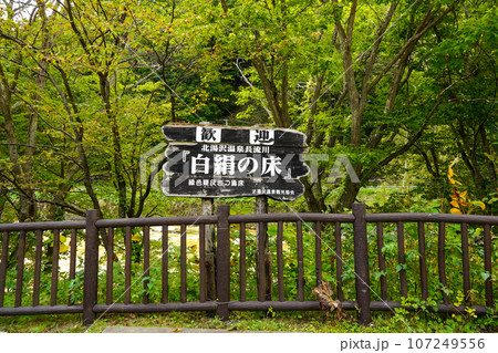 北湯沢温泉長流川・白絹の床(緑色凝灰岩) 北湯沢温泉長流川・白絹の床(緑色凝灰岩) 107249556