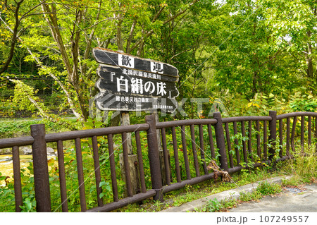 北湯沢温泉長流川・白絹の床(緑色凝灰岩) 北湯沢温泉長流川・白絹の床(緑色凝灰岩) 107249557