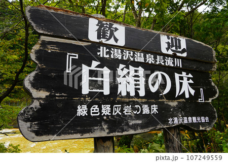 北湯沢温泉長流川・白絹の床（緑色凝灰岩） 107249559