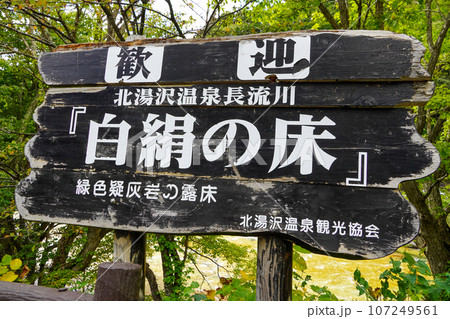 北湯沢温泉長流川・白絹の床（緑色凝灰岩） 107249561