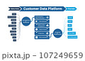 CDP-Customer Data Platform 107249659