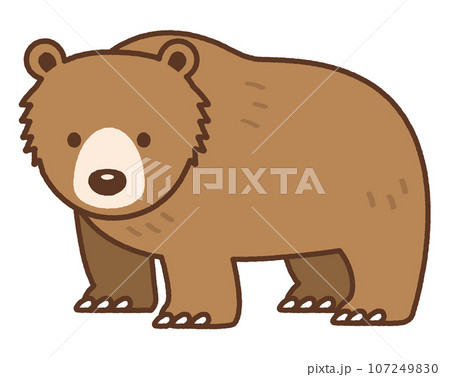 熊のイラスト素材 [107249830] - PIXTA