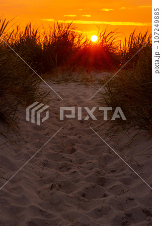 Sylt island sunset behind the marram grass dunes Sylt island sunset behind the marram grass dunes 107249885