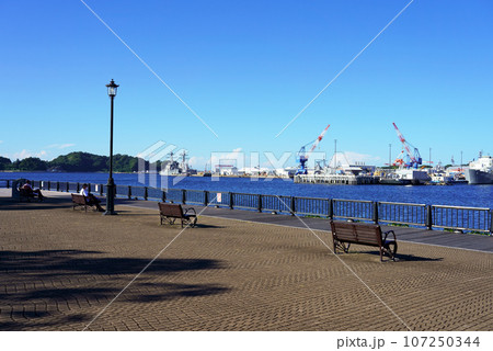 ヴェルニー公園から眺める横須賀本港 ヴェルニー公園から眺める横須賀本港 107250344