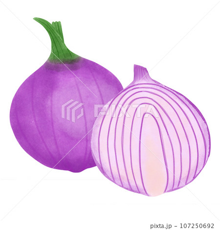 Red onion with cut in half  107250692
