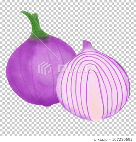 Red onion with cut in half  107250692