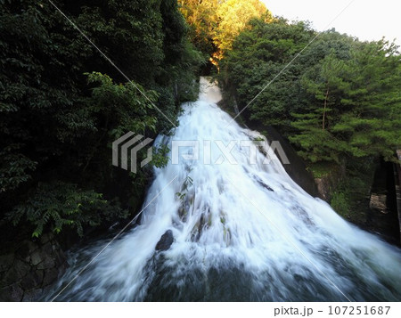 満濃池の湯手から流れる幻の滝【香川県仲多度郡まんのう町】2 107251687