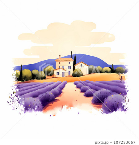 Illustration of beautiful blooming lavender fields in Provence, France Illustration of beautiful blooming lavender fields in Provence, France 107253067