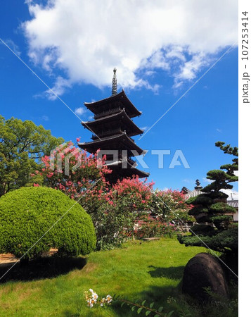 四国八十八ヶ所霊場・第70番札所・本山寺の五重の塔&百日紅【香川県三豊市豊中町】 四国八十八ヶ所霊場・第70番札所・本山寺の五重の塔&百日紅【香川県三豊市豊中町】 107253414