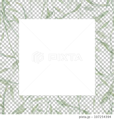 Delicate frame of wild oats. Meadow herbs, avena, spikelet, grass. Watercolor illustration of wild plants. Summer composition. For greeting, invitation template, celebration cards. Space for text Delicate frame of wild oats. Meadow herbs, avena, spikelet, grass. Watercolor illustration of wild plants. Summer composition. For greeting, invitation template, celebration cards. Space for text 107254394
