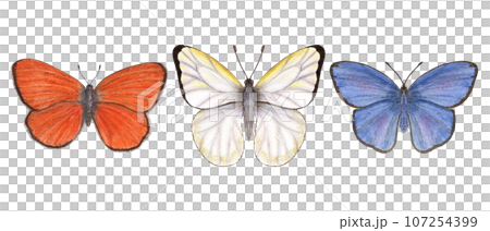 Set of watercolor different butterflies. Copper, scarce copper, cabbage. Blue, orange, white butterflies isolated on white background. Watercolor illustration for print, textile, wedding invitation. 107254399