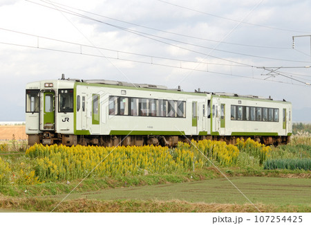 羽越本線　鶴岡ー藤島　JR東日本　キハ110-224（新津） 107254425