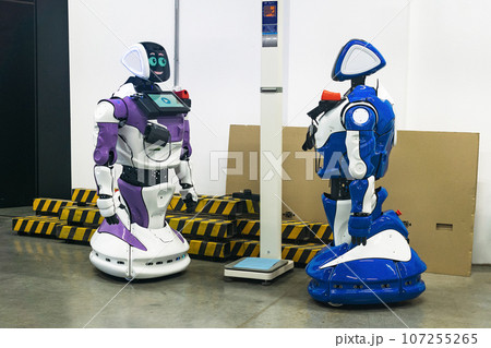 two humanoid robots with a friendly interface look at each other indoors 107255265