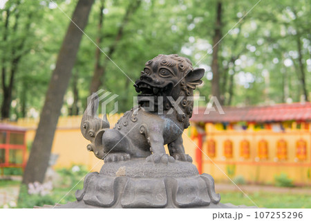 snow lion statue on top of a large bronze incense burner in the courtyard of a Buddhist datsan Gunzechoinei snow lion statue on top of a large bronze incense burner in the courtyard of a Buddhist datsan Gunzechoinei 107255296