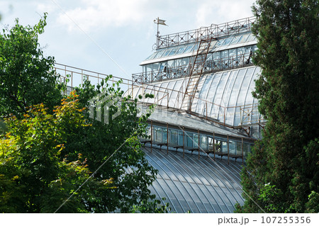 view of the dome of a large vintage palm greenhouse behind the trees view of the dome of a large vintage palm greenhouse behind the trees 107255356