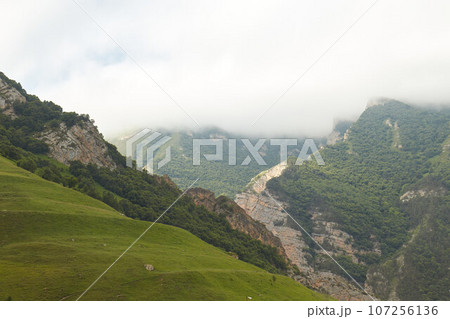 mountains in fog, rocks, green grass, mountain landscape 107256136