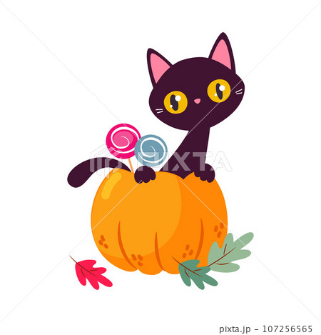 Halloween with Orange Pumpkin with Cat and Sweet Candy Vector Illustration 107256565