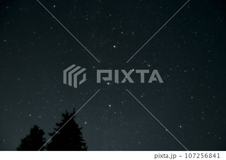 北杜市長坂町、北の空、樹上に昇るカシオペヤ座 北杜市長坂町、北の空、樹上に昇るカシオペヤ座 107256841