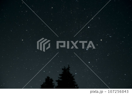 北杜市長坂町、北の空、樹上に昇るカシオペヤ座 107256843