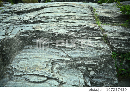 地球生成過程が生んだ歴史を見る 107257430