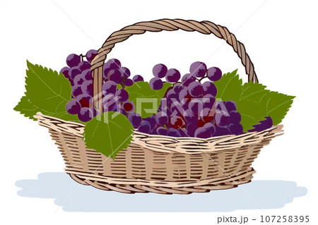 ぶどうのかご盛り 2 ぶどうのかご盛り 2 107258395