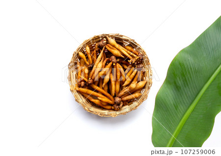 Fingerroot on a white background. 107259006