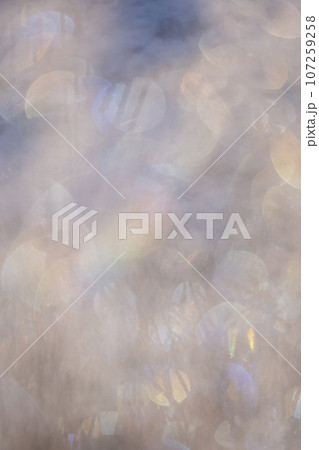 キラキラ霜　虹色（恩原湖周辺） 107259258