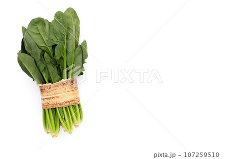 Fresh spinach on white background Fresh spinach on white background 107259510