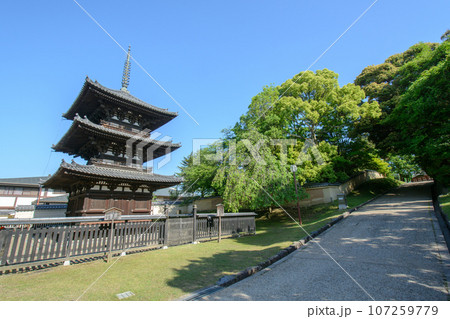 興福寺、三重塔(国宝) 興福寺、三重塔(国宝) 107259779