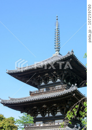 興福寺、三重塔(国宝) 興福寺、三重塔(国宝) 107259780