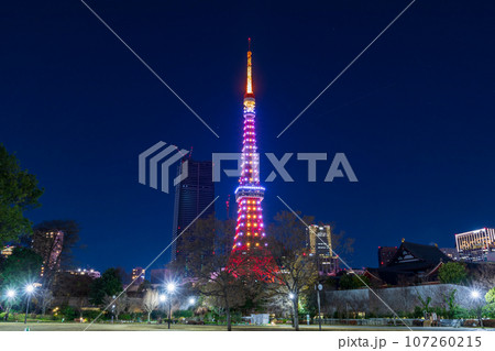 「東京都」芝公園から望む東京タワー 東京夜景 「東京都」芝公園から望む東京タワー 東京夜景 107260215