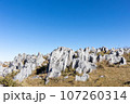 岩のある風景 107260314